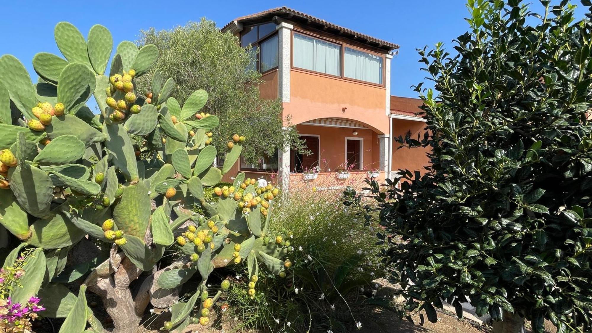 Sardegna - Villa Mirto & Flowers Olbia Exteriör bild